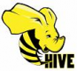 Image for the Hive Training in Nepal